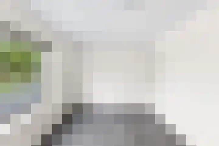 Rembrandtlaan 80 Vlissingen thumbnail 26
