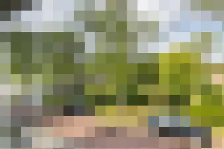 Rembrandtlaan 80 Vlissingen thumbnail 27