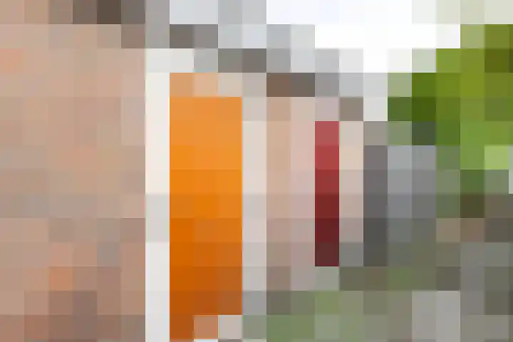 Rembrandtlaan 80 Vlissingen thumbnail 35