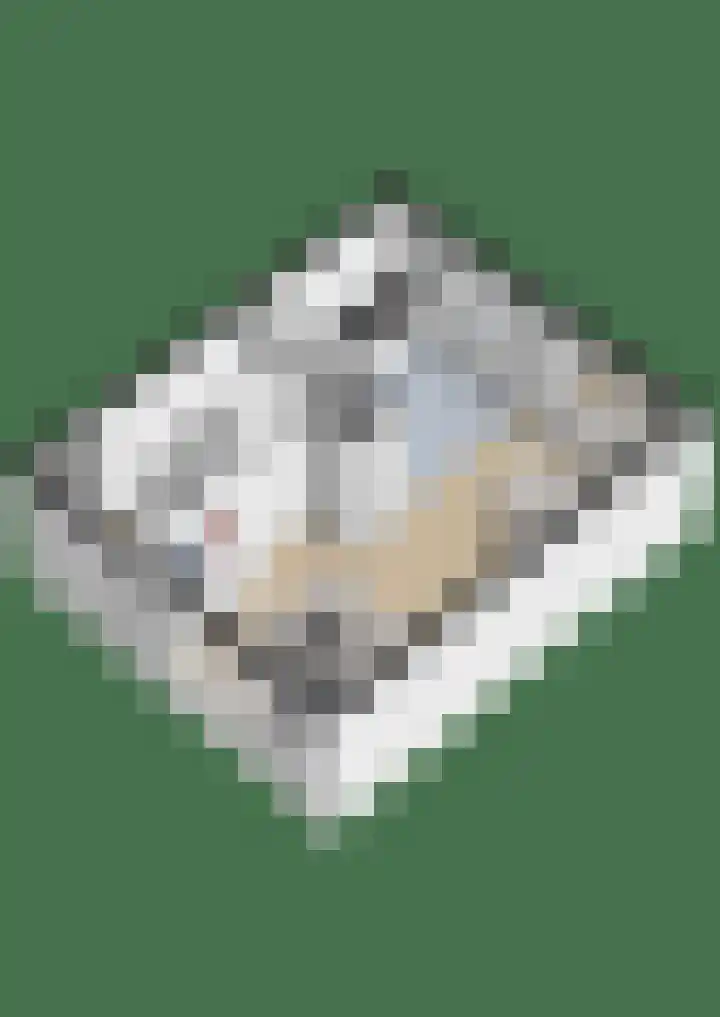 Rembrandtlaan 80 Vlissingen thumbnail 39