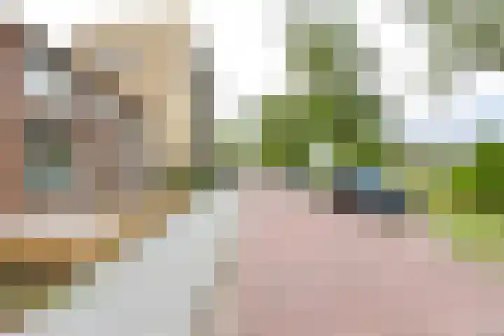Rembrandtlaan 80 Vlissingen thumbnail 5