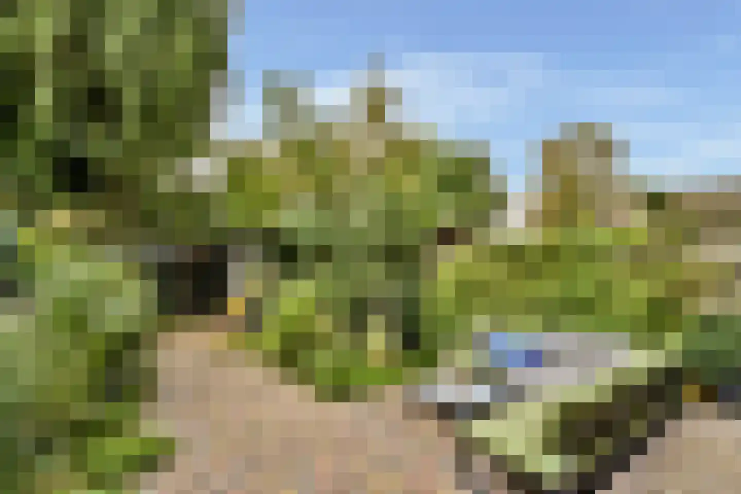 Rembrandtlaan 85 A Schiedam thumbnail 17