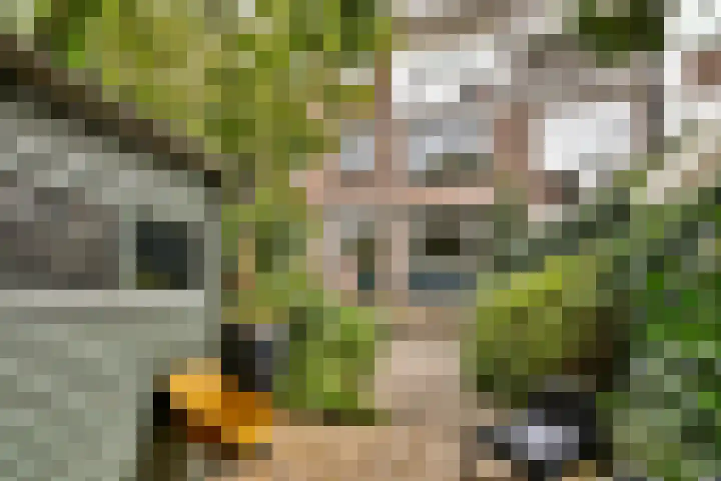 Rembrandtlaan 85 A Schiedam thumbnail 18