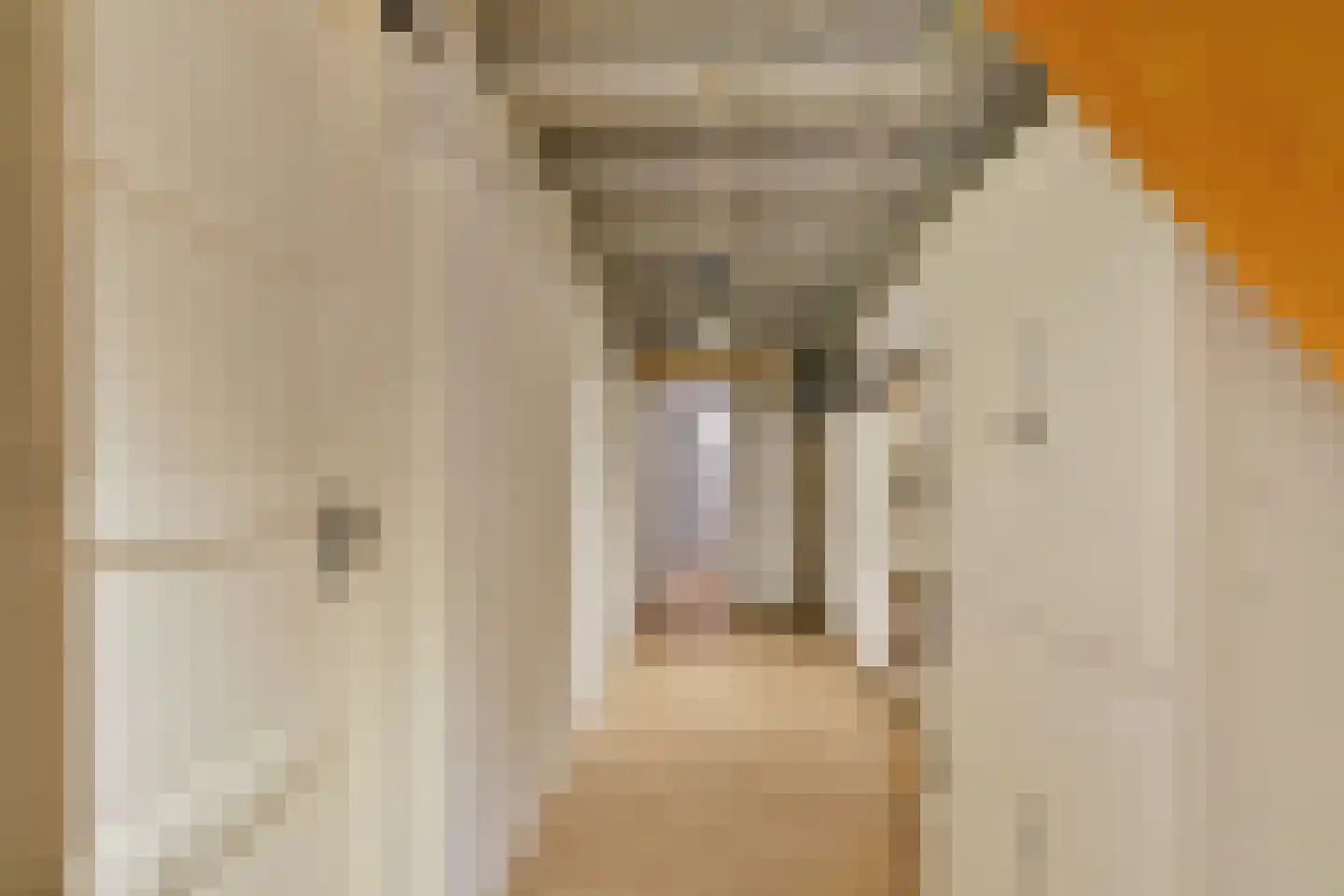 Rembrandtlaan 85 A Schiedam thumbnail 32