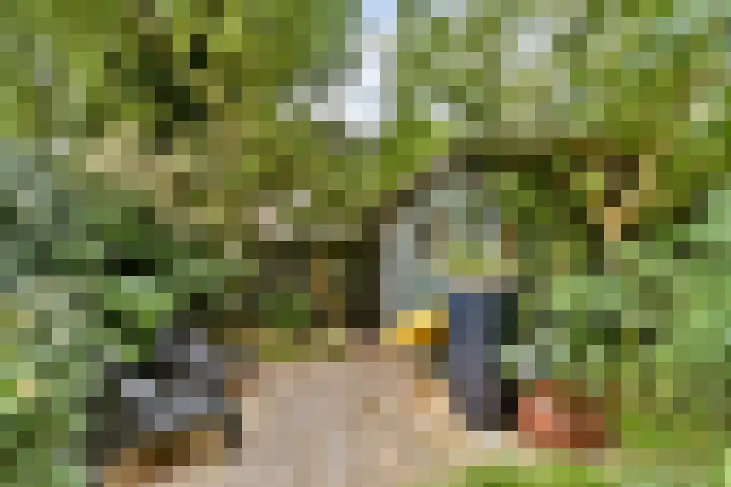 Rembrandtlaan 85 A Schiedam thumbnail 4