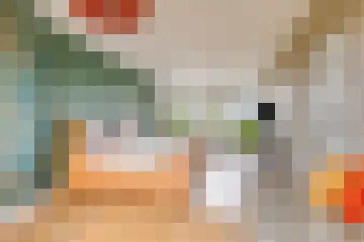 Rembrandtlaan 86 A Schiedam thumbnail 27