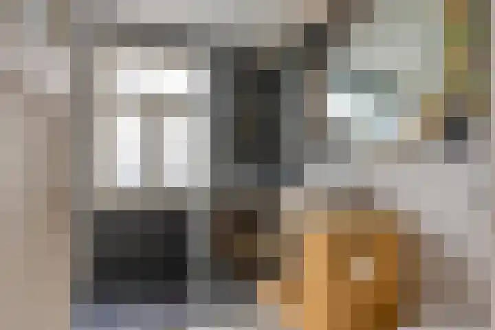 Rembrandtlaan 86 A Schiedam thumbnail 31