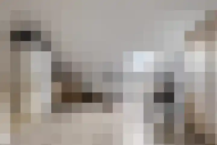 Rembrandtlaan 88 Assen thumbnail 23