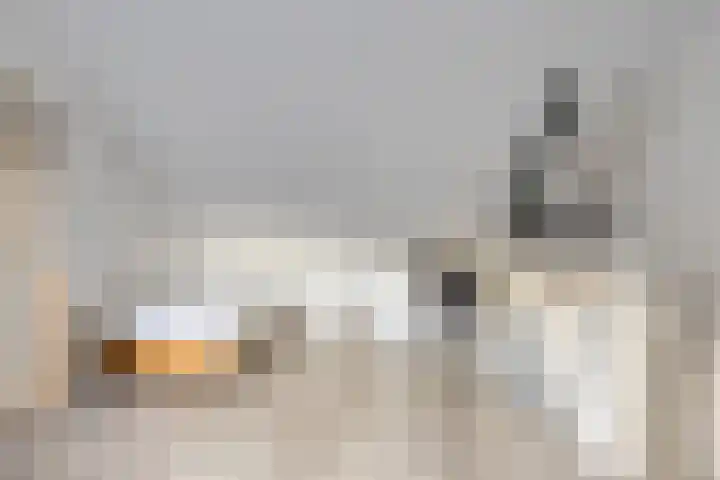 Rembrandtlaan 88 Assen thumbnail 24