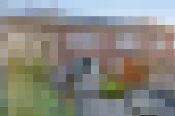 Rembrandtlaan 88 Assen thumbnail 29
