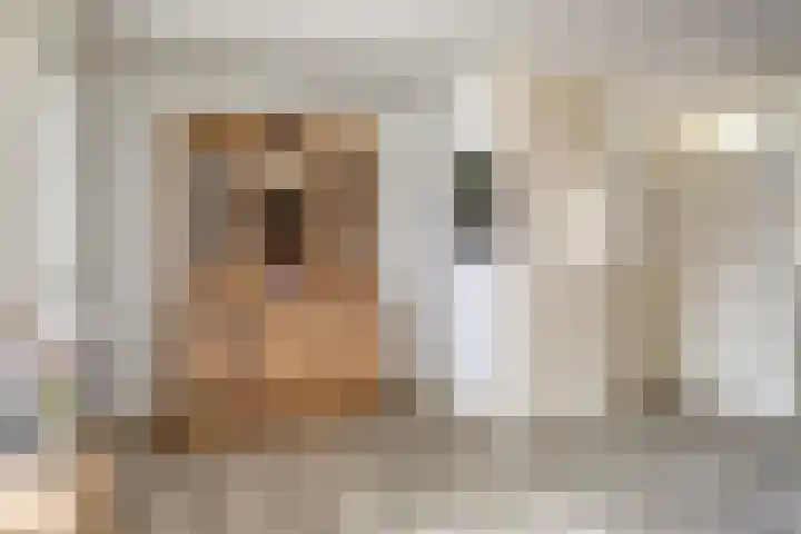 Rembrandtlaan 9 A Ede thumbnail 10