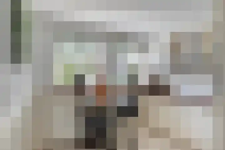 Rembrandtlaan 9 A Ede thumbnail 13