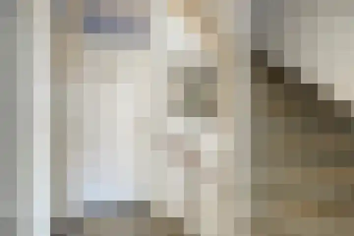 Rembrandtlaan 9 A Ede thumbnail 15