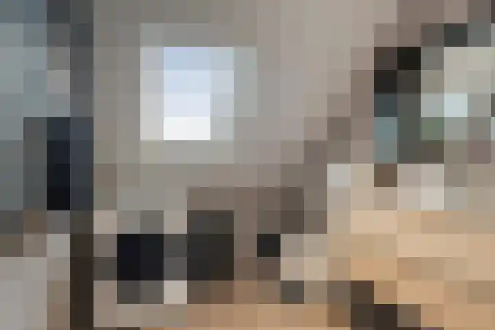 Rembrandtlaan 9 A Ede thumbnail 17