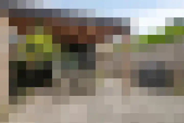 Rembrandtlaan 9 A Ede thumbnail 24