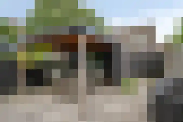 Rembrandtlaan 9 A Ede thumbnail 25