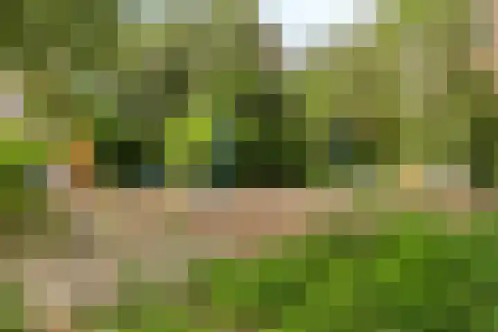 Rembrandtlaan 9 A Ede thumbnail 27