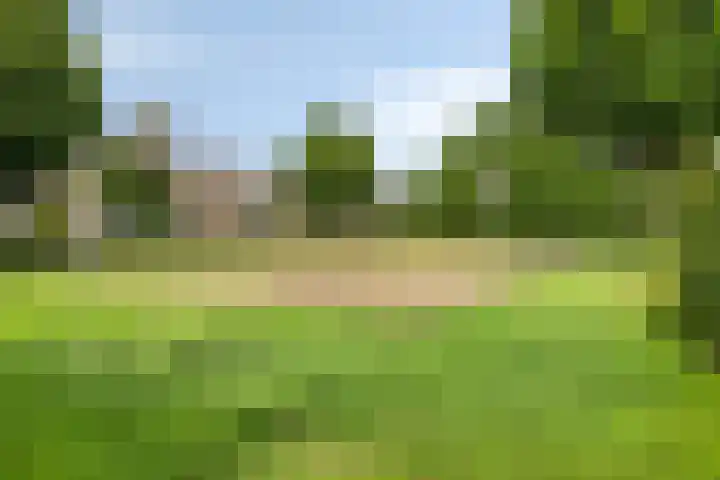Rembrandtlaan 9 A Ede thumbnail 28