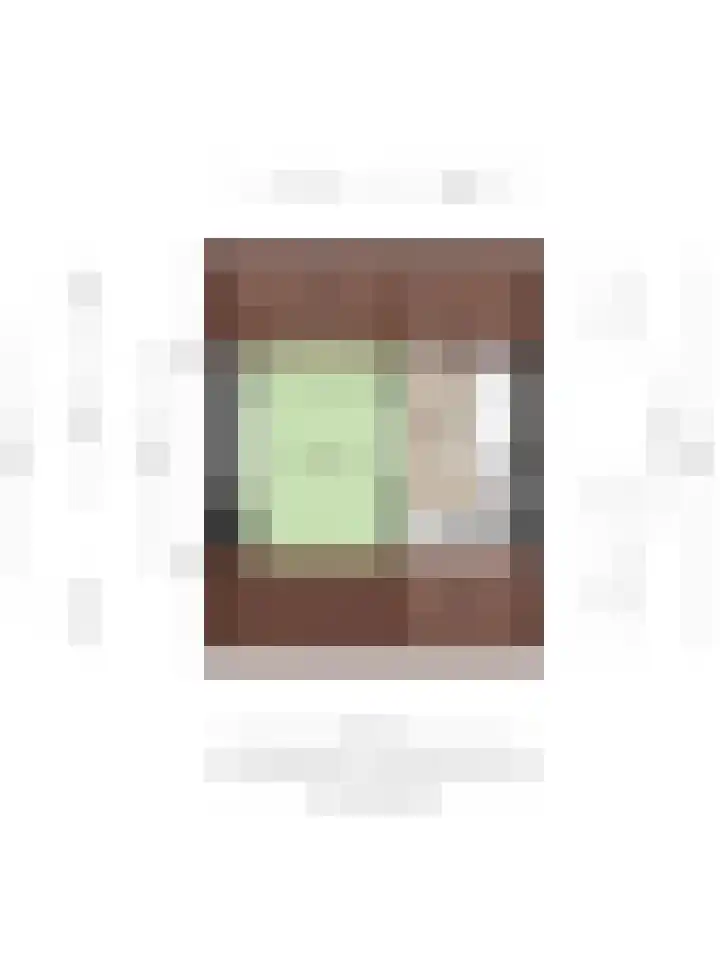 Rembrandtlaan 9 A Ede thumbnail 31