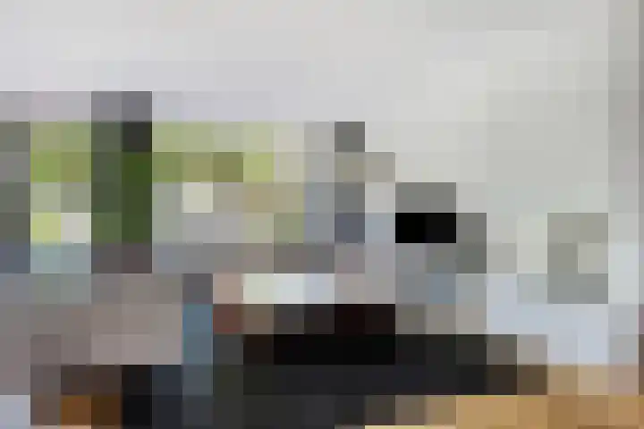 Rembrandtlaan 9 IJsselstein thumbnail 13