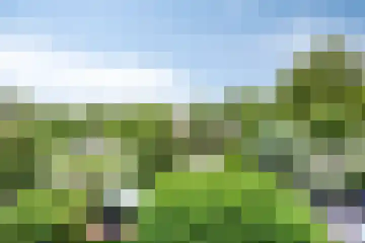 Rembrandtlaan 9 IJsselstein thumbnail 37