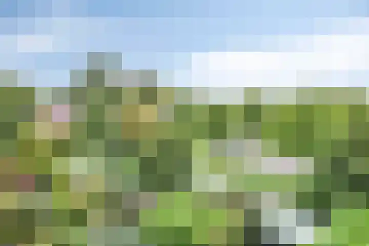 Rembrandtlaan 9 IJsselstein thumbnail 5