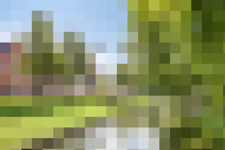 Rembrandtlaan 9 IJsselstein thumbnail 50