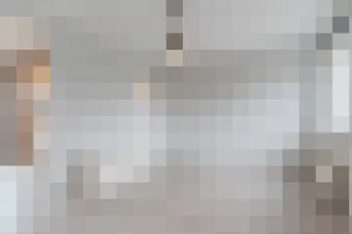 Rembrandtlaan 9 Raamsdonksveer thumbnail 10