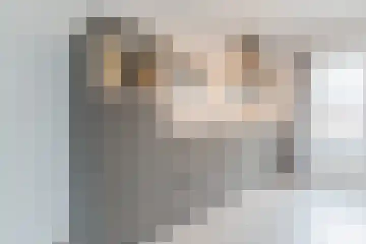 Rembrandtlaan 9 Raamsdonksveer thumbnail 13