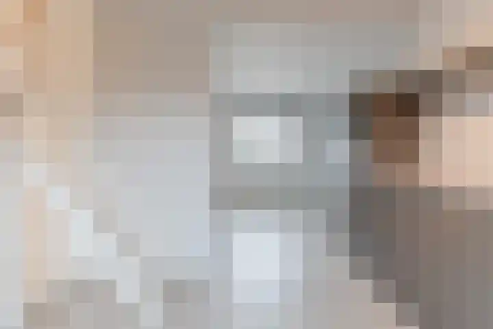 Rembrandtlaan 9 Raamsdonksveer thumbnail 16