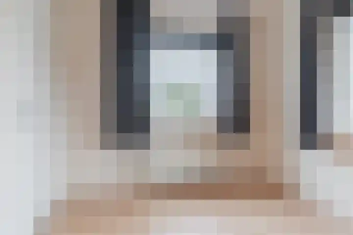 Rembrandtlaan 9 Raamsdonksveer thumbnail 20