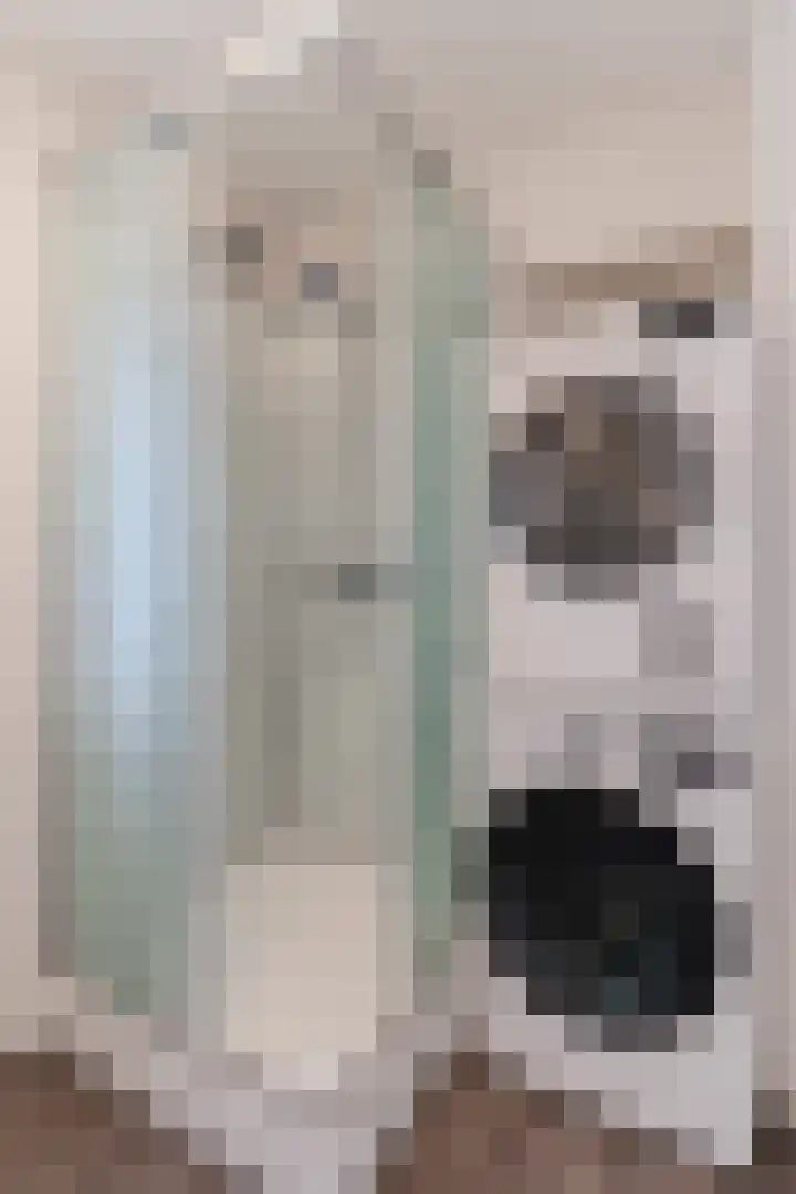 Rembrandtlaan 9 Raamsdonksveer thumbnail 23