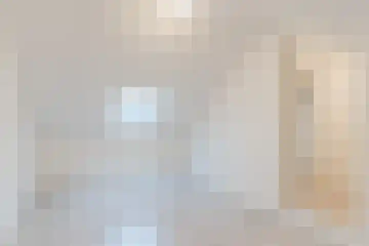 Rembrandtlaan 9 Raamsdonksveer thumbnail 29
