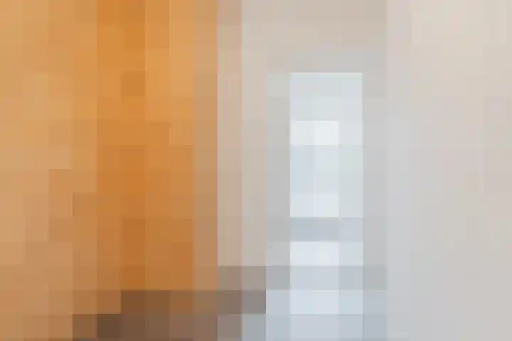 Rembrandtlaan 9 Raamsdonksveer thumbnail 5