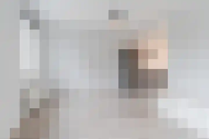 Rembrandtlaan 9 Raamsdonksveer thumbnail 8