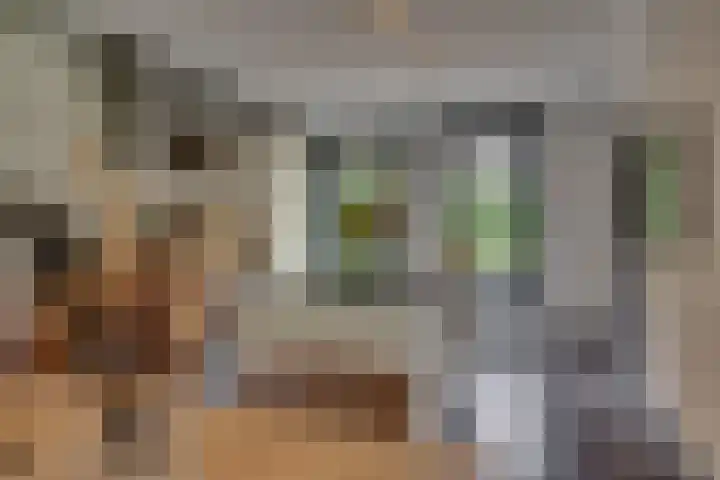 Rembrandtlaan 90 Bilthoven thumbnail 13