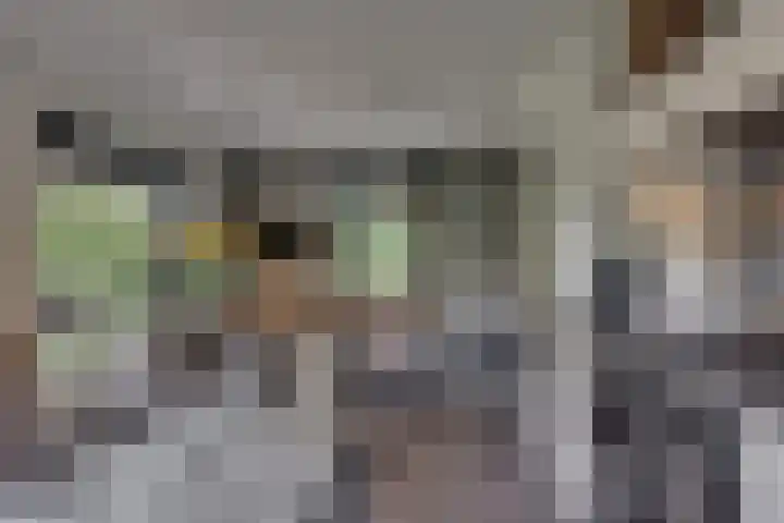 Rembrandtlaan 90 Bilthoven thumbnail 16