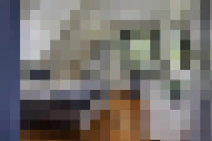 Rembrandtlaan 90 Bilthoven thumbnail 19