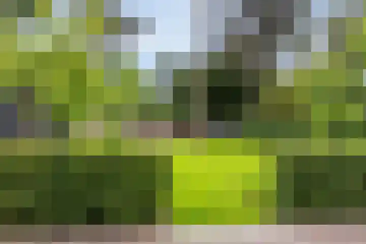 Rembrandtlaan 90 Bilthoven thumbnail 31