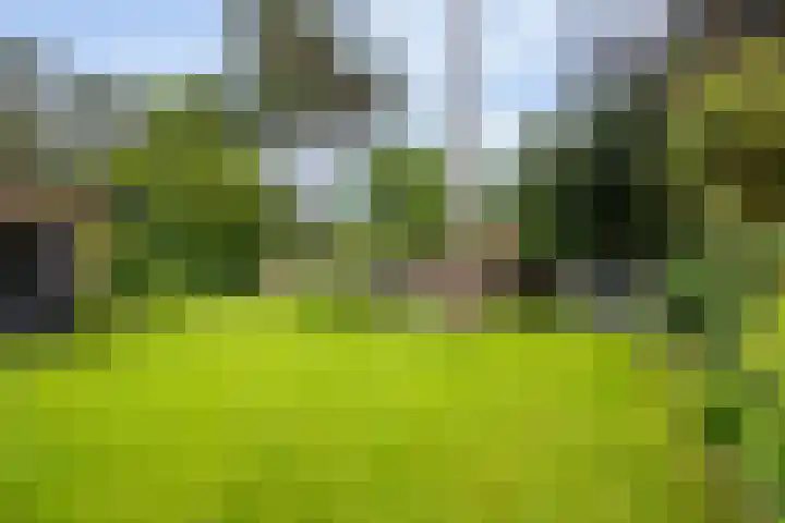 Rembrandtlaan 90 Bilthoven thumbnail 32