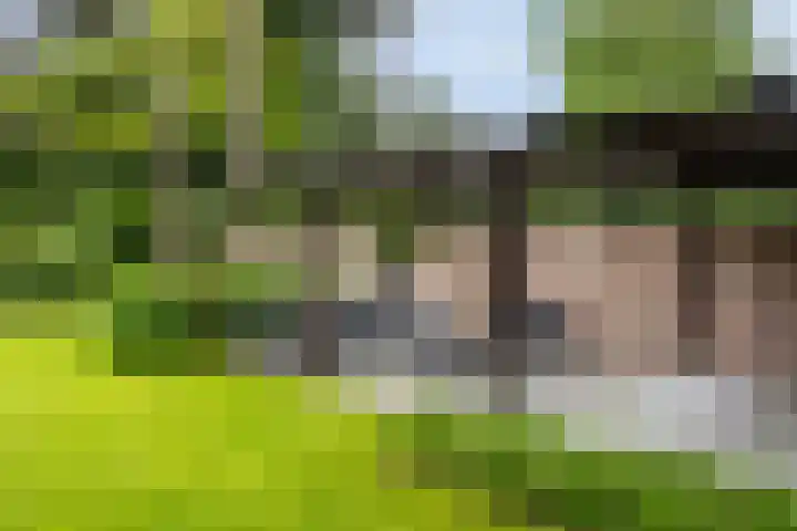 Rembrandtlaan 90 Bilthoven thumbnail 33