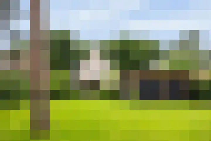 Rembrandtlaan 90 Bilthoven thumbnail 34