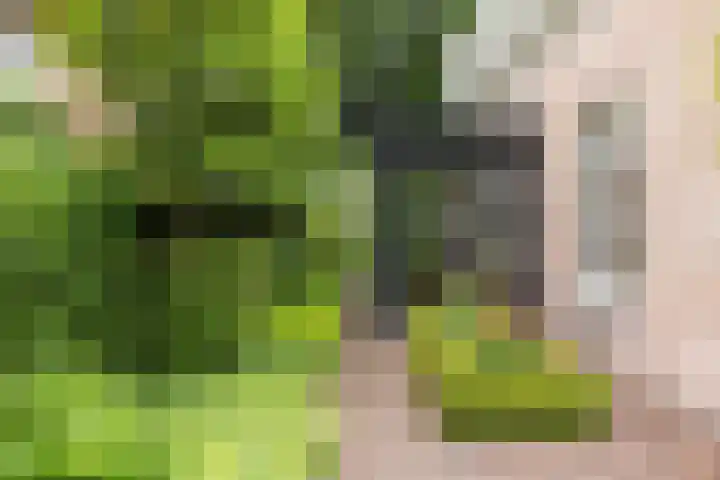 Rembrandtlaan 90 Bilthoven thumbnail 37