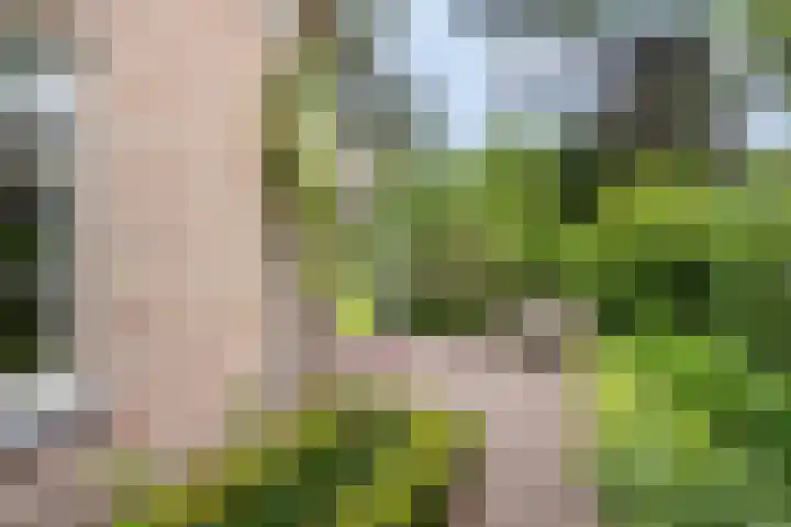 Rembrandtlaan 90 Bilthoven thumbnail 38