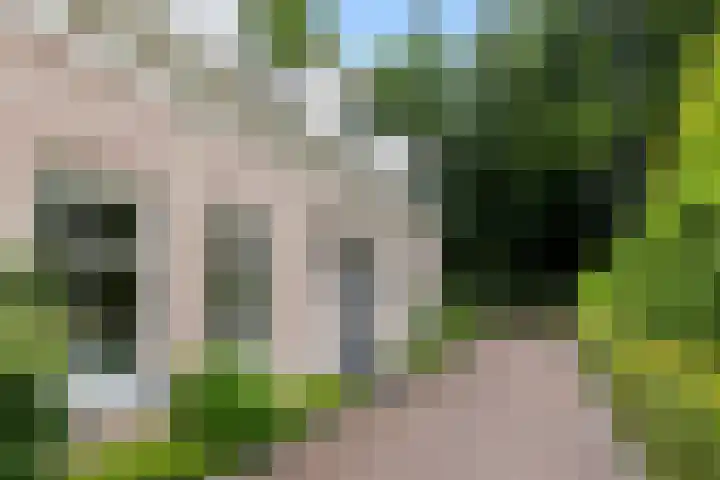 Rembrandtlaan 90 Bilthoven thumbnail 4