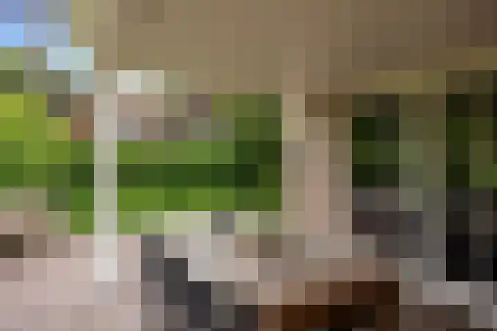 Rembrandtlaan 90 Bilthoven thumbnail 40