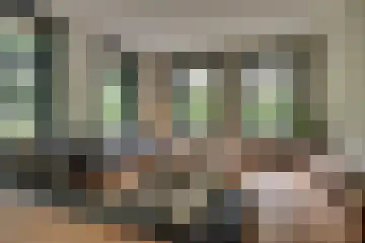 Rembrandtlaan 90 Bilthoven thumbnail 9