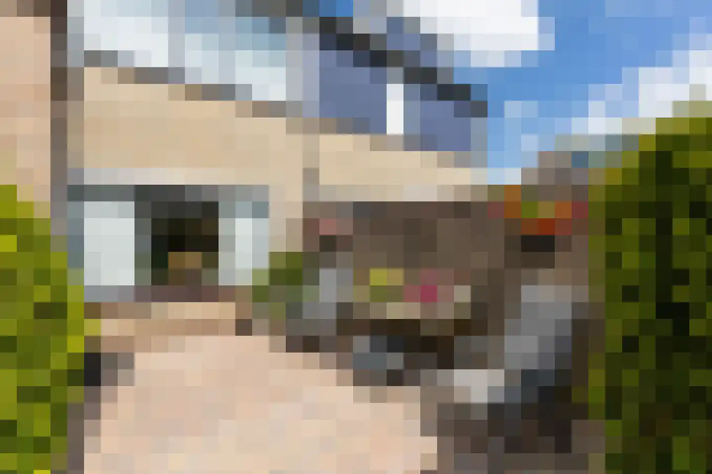 Rembrandtlaan 92 Woudenberg thumbnail 34