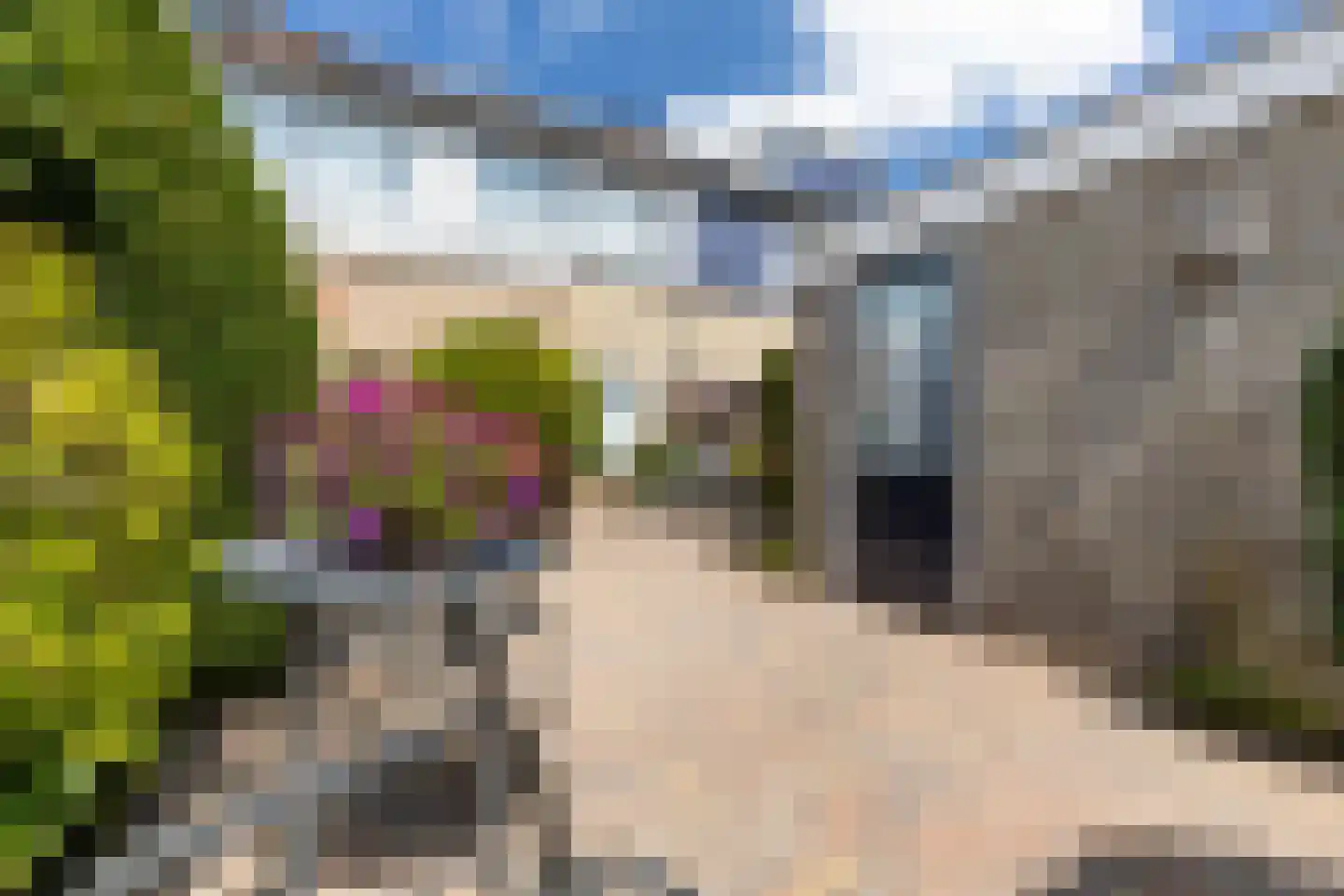 Rembrandtlaan 92 Woudenberg thumbnail 37