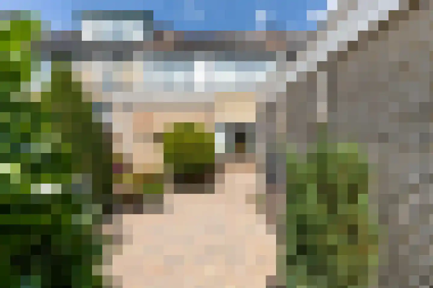 Rembrandtlaan 92 Woudenberg thumbnail 39